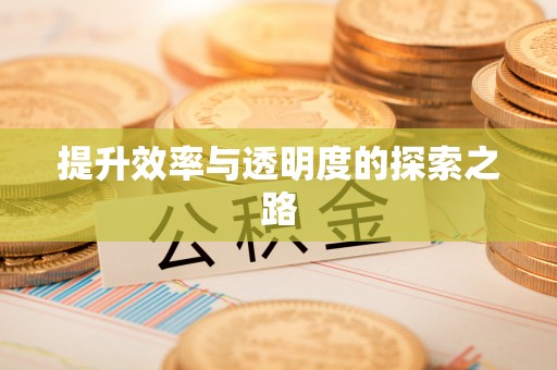 十堰提升效率与透明度的探索之路